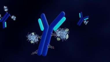 BODIPY moleküllerine veya parlak yeşile bağlı biyolize edilmiş bir antikor 3 boyutlu animasyonu.