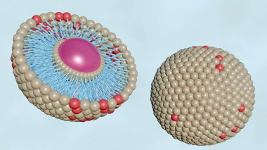 Yarısı kesilmiş liposom ve diğer liposomları beyaz arka plana serpiştirilmiş bir 3D canlandırma