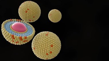 A 3D rendering featuring a half-cut liposome and other liposomes dispersed on a white background clipart