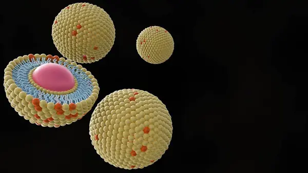 stock image A 3D rendering featuring a half-cut liposome and other liposomes dispersed on a white background