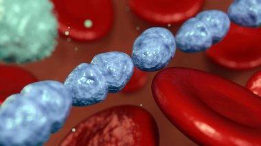 Kan damarının içinde Streptococcal bakterinin 3 boyutlu görüntülenmesi, kan dolaşımına girmeyi başarabilir, bu da sepsis adı verilen hayati tehlike oluşturan bir duruma yol açabilir..