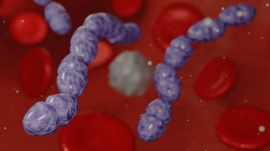 Kan damarının içinde Streptococcal bakterinin 3 boyutlu görüntülenmesi, kan dolaşımına girmeyi başarabilir, bu da sepsis adı verilen hayati tehlike oluşturan bir duruma yol açabilir..