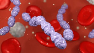Kan damarının içinde Streptococcal bakterinin 3 boyutlu görüntülenmesi, kan dolaşımına girmeyi başarabilir, bu da sepsis adı verilen hayati tehlike oluşturan bir duruma yol açabilir..