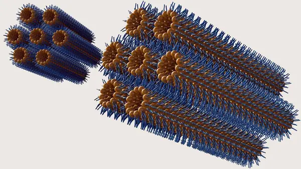 stock image 3d rendering of inverse hexagonal phase. In this phase, long, tubular aggregates form in a hexagonal pattern