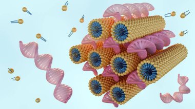 3d rendering of hexagonal phase consists of DNA rods between rodlike lipid micelles arranged on a hexagonal lattice clipart