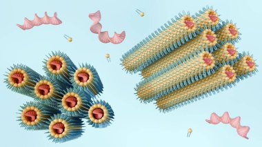 Ters altıgen HIIC evresinin 3 boyutlu bir canlandırması, altıgen kafes üzerinde düzenlenmiş lipid monolatör ile kaplanmış DNA çubuklarından oluşur..