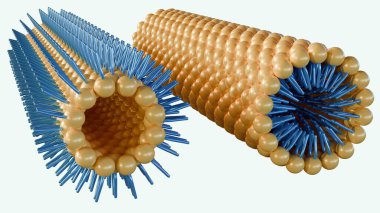 A 3D rendering of a lamellar phase and an inverse hexagonal phase, arranged side by side, each featuring a lipid monolayer on a hexagonal lattice. clipart