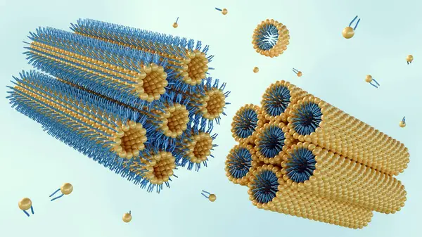 stock image A 3D rendering of a lamellar phase and an inverse hexagonal phase, arranged side by side, each featuring a lipid monolayer on a hexagonal lattice.