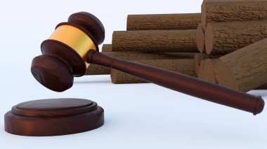 Üç boyutlu tasvirde bir tokmak, yastık ve ahşap kütükler ormansızlaşma yasasının sembolleri olarak tasvir ediliyor..