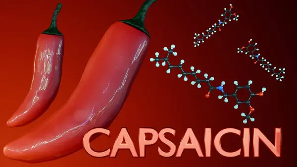 stock image A 3D rendering of red chili showcase the molecular structure of capsaicin, the compound responsible for its heat.