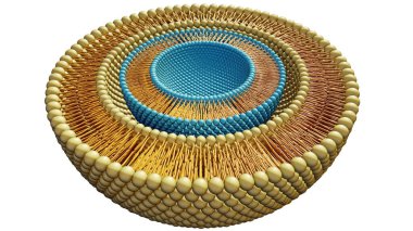 Liposomların liposom içerisindeki 3d görüntülenmesi çoklu liposom ya da yuvalanmış liposom olarak bilinir..