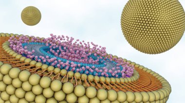 3d rendering of Liposomes within liposomes are known as multivesicular liposomes or nested liposomes. clipart