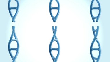 Moleküler DNA sarmalının 3D döndürme ve bükme animasyonu.