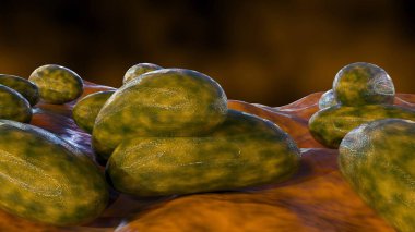 Yersinia Pestis 'in 3D yorumlanması ölümcül salgına neden olan bir bakteridir. Buna Justinian vebası ve Kara Ölüm de dahil.