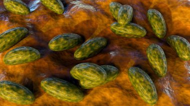 3d rendering of Yersinia pestis, it is a bacterium that causes the deadly disease plague, including the Plague of Justinian and the Black Death clipart