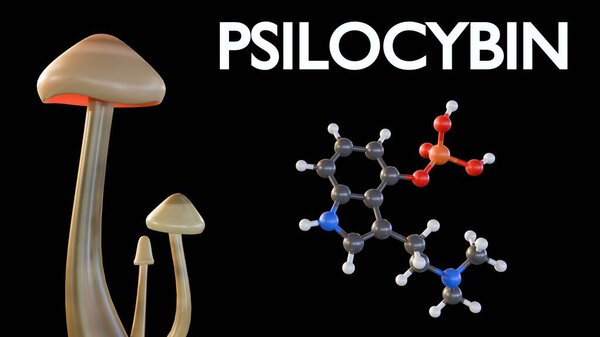 3d rendering of mushrooms with a chemical structure labeled "PSILOCYBIN" floating above it. This suggests that psilocybin, a psychoactive compound found in certain mushrooms