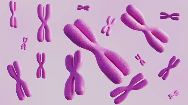 3d rendering of pink XX chromosomes in the image visually represent the genetic material associated with female biological sex