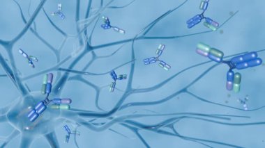 Antikorların 3D animasyonu otoimmün hastalıklar olan sistemik lupus eritematosus ve nöromiyelit optica gibi otoimmün hastalıklara bağlı beyin patolojisine katkıda bulunur.