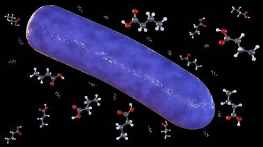 3d rendering of butyric acid molecules and bacterial species, it is a valuable metabolite produced by gut bacteria that contributes to intestinal health and overall well-being.