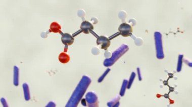 Bütirik asit molekülleri ve bakteri hücrelerinin 3D animasyonu bağırsak sağlığı ve genel olarak sağlığa katkıda bulunan bağırsak bakterileri tarafından üretilen değerli bir metabolittir..