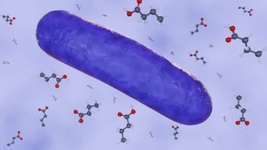 Bütirik asit molekülleri ve bakteri hücrelerinin 3D animasyonu bağırsak sağlığı ve genel olarak sağlığa katkıda bulunan bağırsak bakterileri tarafından üretilen değerli bir metabolittir..