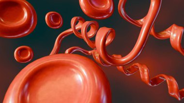 Üç boyutlu dağınık kırmızı kan hücreleri veya eritrositler ve protein molekülleri. Bu proteinler ve kırmızı kan hücreleri içindeki hemoglobin molekülleri arasındaki etkileşim.