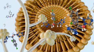 Candida enfeksiyonları için fluconazole tedavisinin etkisini arttırmak ve yan etkilerini azaltmak amacıyla lipozom içinde 3D fluconazole kullanımı.