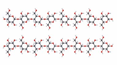 3d rendering of cellulose molecules form long, unbranched chains of glucose units. The linear chains pack tightly together. clipart