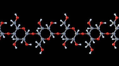 3d rendering of cellulose molecules form long, unbranched chains of glucose units. The linear chains pack tightly together. clipart