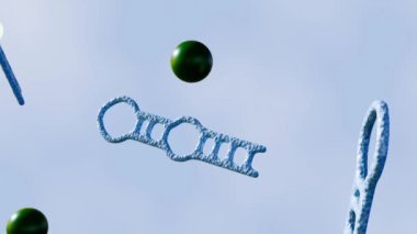 Floresan olmayan florojenin 3D animasyonu floresan olmayan Aptamer 'a eklendi ve ışıklandırıcı oldu.