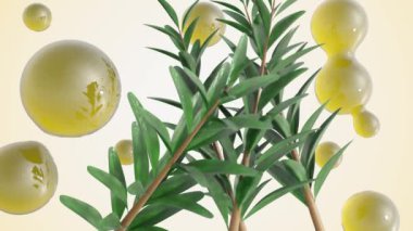 3 boyutlu Melaleuca animasyonu ya da çay ağacı ve gerekli yağ damlacıkları
