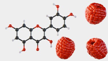 A 3d rendering of chemical structure formula of Quercetin and group of raspberry clipart