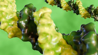 Üç boyutlu yeşil deoksiribonükleik asit molekülü, birbiri etrafında bükülmüş iki iplik, çift sarmal oluşturur..