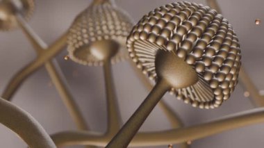 Aspergillus cinsinin 3 boyutlu animasyonu. Aspergilloz, bu mantarların neden olduğu enfeksiyonların bir spektrumudur..