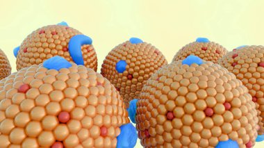 Ksilomicron parçacıklarının 3 boyutlu canlandırması. Besin yağlarının emilimi ve taşınmasında önemli rol oynayan büyük lipoprotein parçacıkları.