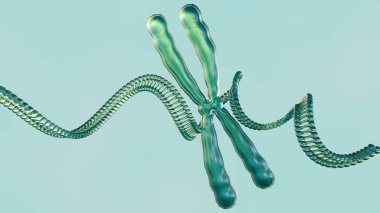 Bir 3 boyutlu görüntüleme, DNA 'nın mikroskobik dünyasının daha büyük bir kromozom yapısı ile yakın görüntüsünü gösterir..