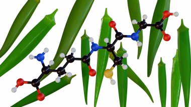 Okra kapsülleri ve glutathione moleküllerinin yakın plan, stilize bir tasviri.