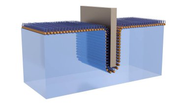 Bir Langmuir-Blodgett (LB) filminin oluşumunu ya da yapısını tasvir eden üç boyutlu bir tasvir..