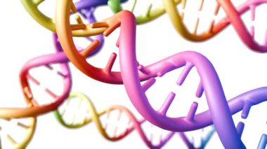 Beyaz arkaplana karşı gökkuşağı renk gradyanı olan biçimlendirilmiş DNA çift sarmalının 3D animasyonu