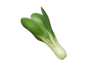 Pak choi ya da Pok choi olarak da bilinen Çin lahanası ve yaprak bitkisinin 3 boyutlu bir animasyonu..