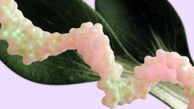 3 boyutlu RNA molekülü ve sağlıklı yeşil yaprak. Bir bitki bağlamında moleküler biyoloji.