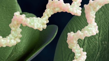 3 boyutlu RNA molekülü ve sağlıklı yeşil yaprak. Bir bitki bağlamında moleküler biyoloji.