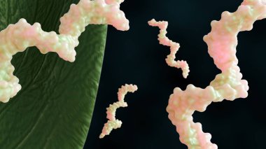 3 boyutlu RNA molekülü ve sağlıklı yeşil yaprak. Bir bitki bağlamında moleküler biyoloji.
