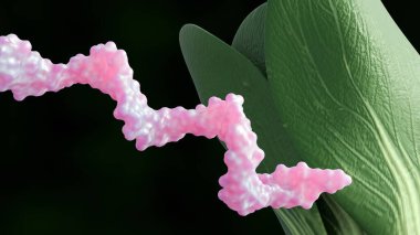 3 boyutlu RNA molekülü ve sağlıklı yeşil yaprak. Bir bitki bağlamında moleküler biyoloji.