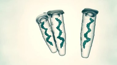 RNA molekülü içeren Eppendorf tüpünün 3 boyutlu animasyonu. RNA ile çalışma süreci, RNA örneklerinin çoğunlukla Eppendorf tüplerinde depolandığı ve değiştirildiği bir laboratuvar ortamında gerçekleşir..