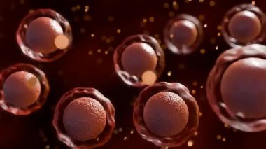 Dağılmış kan kök hücrelerinin 3D animasyonu, ayrıca hematopoetik kök hücreleri veya HSCS olarak da bilinir.