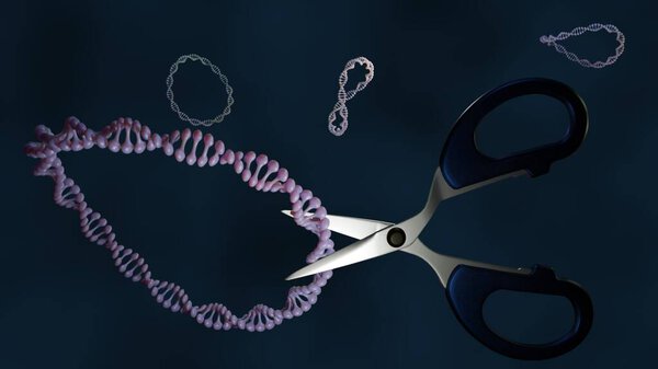 Трехмерный рендеринг ДНК и ножниц плазмиды. CRISPR-Cas9 действует как молекулярные ножницы для ДНК плазмиды. Модифицированные плазмиды могут быть использованы в качестве векторов для доставки терапевтических генов.