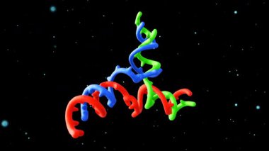 DNA 'nın 3 boyutlu bir animasyonu, DNA rekombinasyonu, onarım ve çoğaltma gibi çeşitli biyolojik süreçlerde bulunan çok önemli bir yapısal motif..