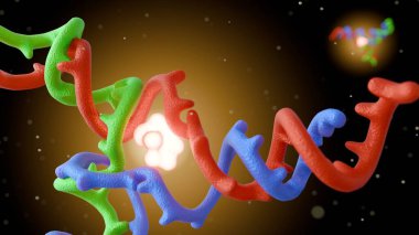 Aydınlatılmış parçacıkların 3 boyutlu görüntülenmesi özellikle DNA bağlantısının merkezi bağlantı noktasında yoğunlaşmıştır..
