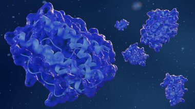 Mikroskobik seviyede kompleks leptin protein moleküler yapılarının 3 boyutlu yorumlanması. 